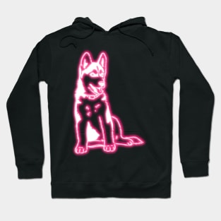 Neon Husky Puppy Hoodie